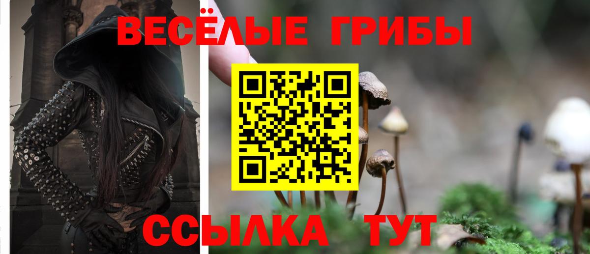 Псилоцибиновые грибы прущие грибы Зерноград