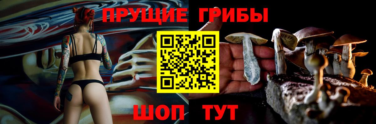Зерноград  Галлюциногенные грибы GOLDEN TEACHER  Вход с VPN 